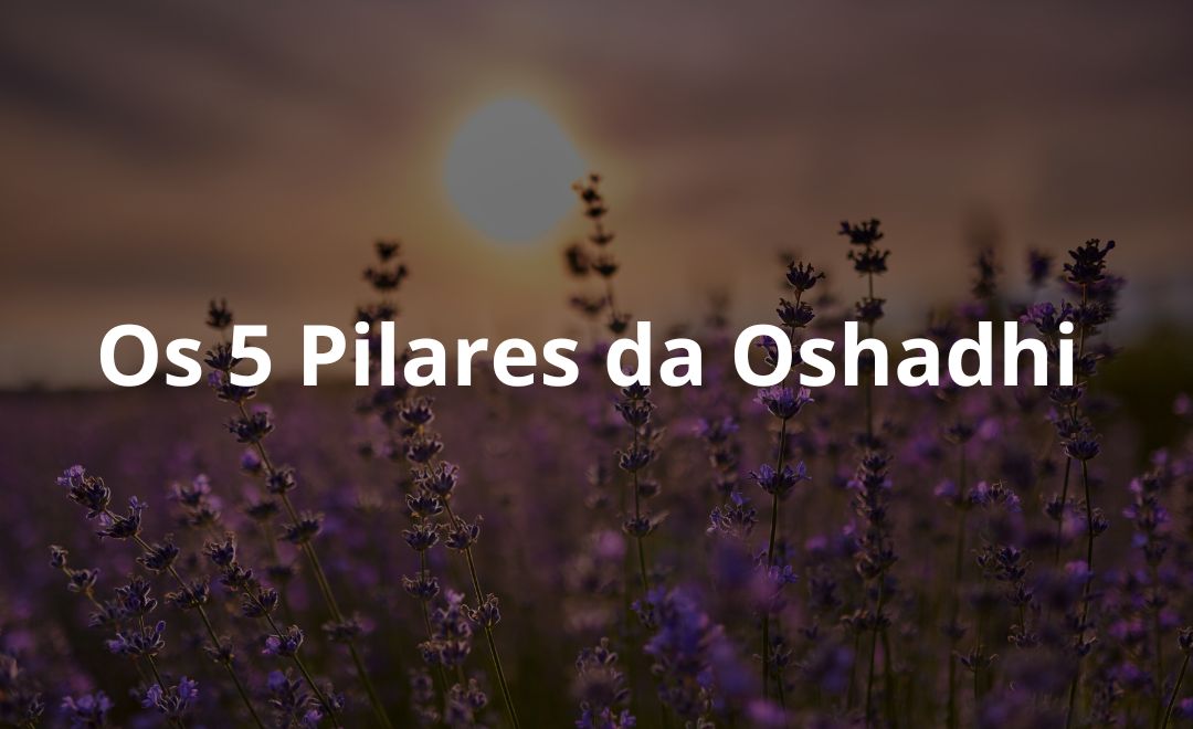 Os 5 Pilares da Oshadhi: conheça nossa Filosofia de Trabalho